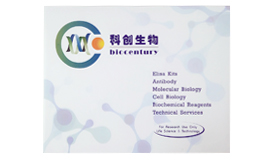 人 IL-10 ELISA 试剂盒