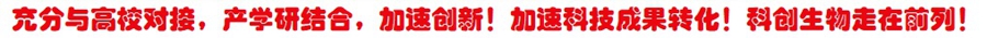 æªå½å_å¯æ¬.jpg