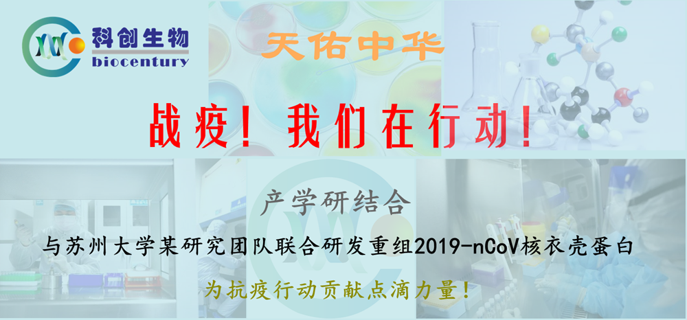 无标题_副本.png